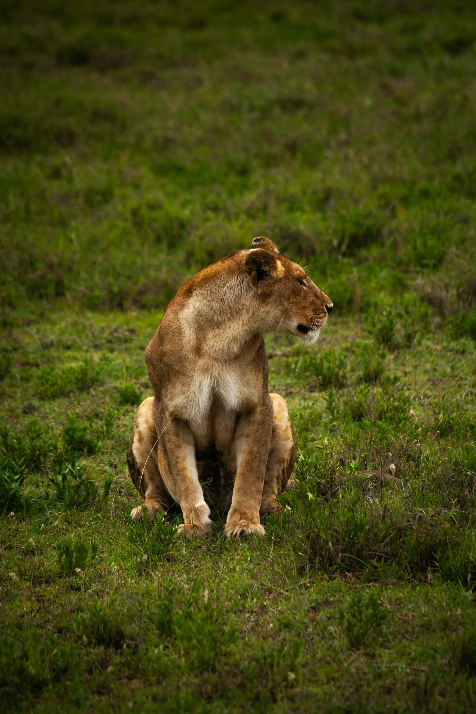 Tanzania journey inspiration
