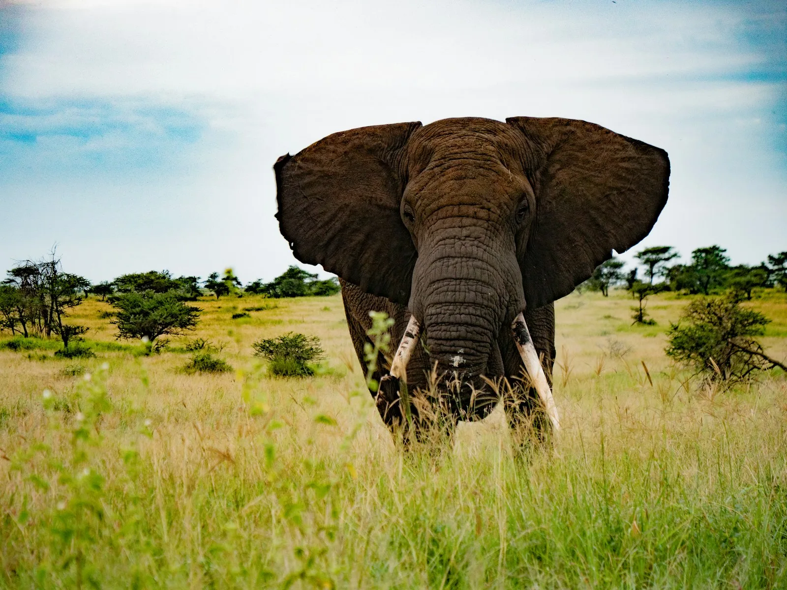 Serengeti National Park
